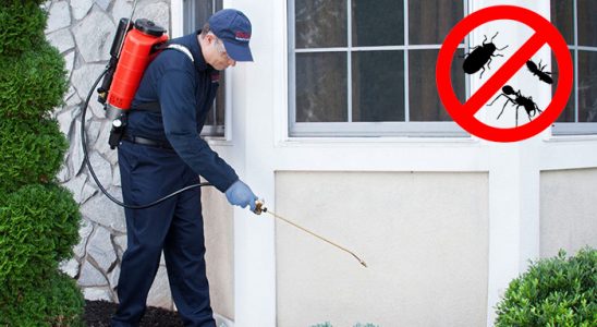 Erciş Gümüşkurt İlaçlama böcek ilaçlama ve haşere kontrolü — ilaclama-tr.com